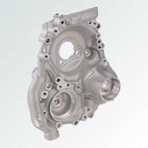 Drive pinion retainer (for CVT)
